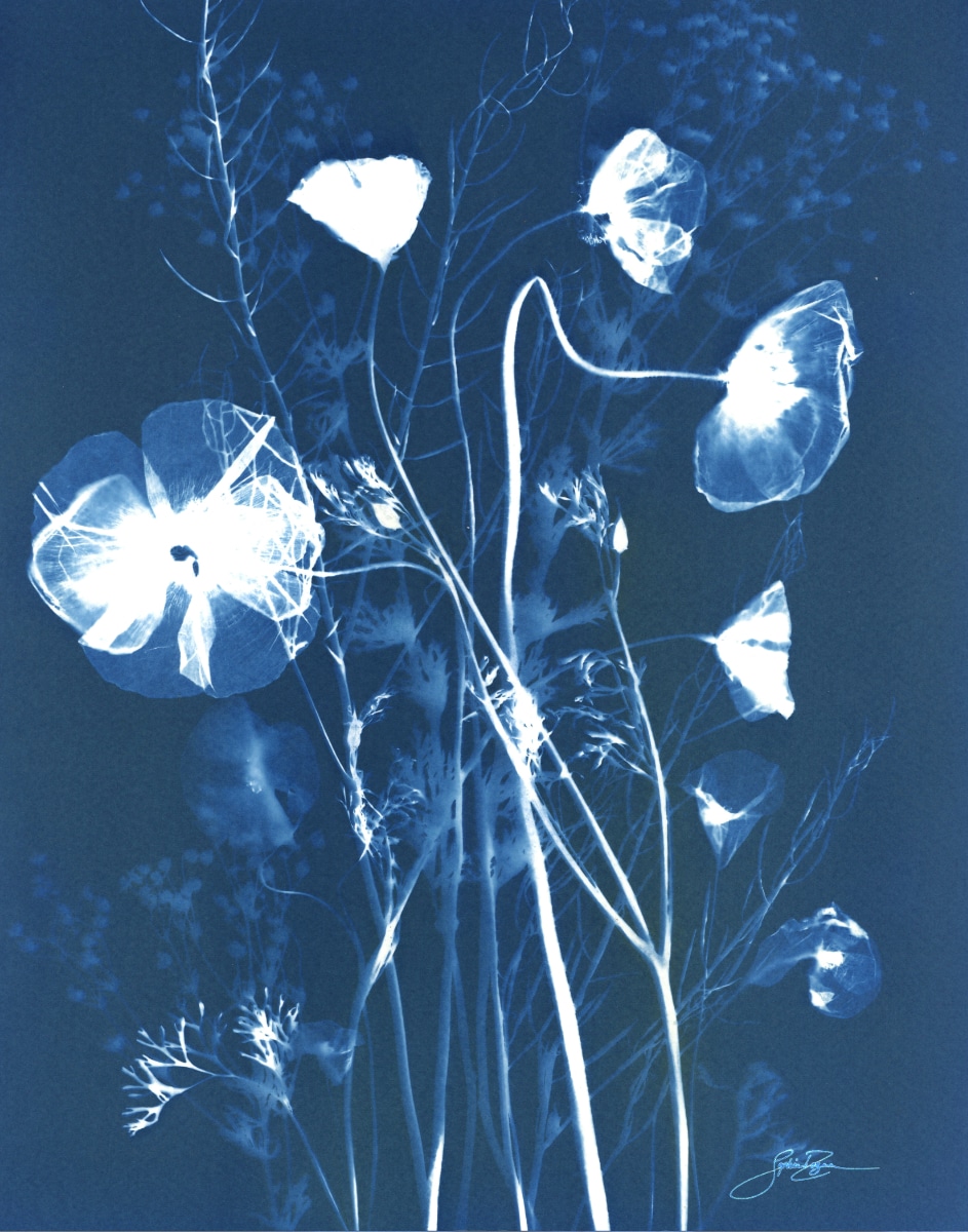 Fleurs des champs — Soie