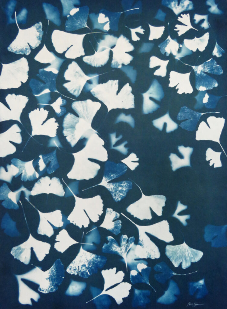 Ginkgo — Équilibre