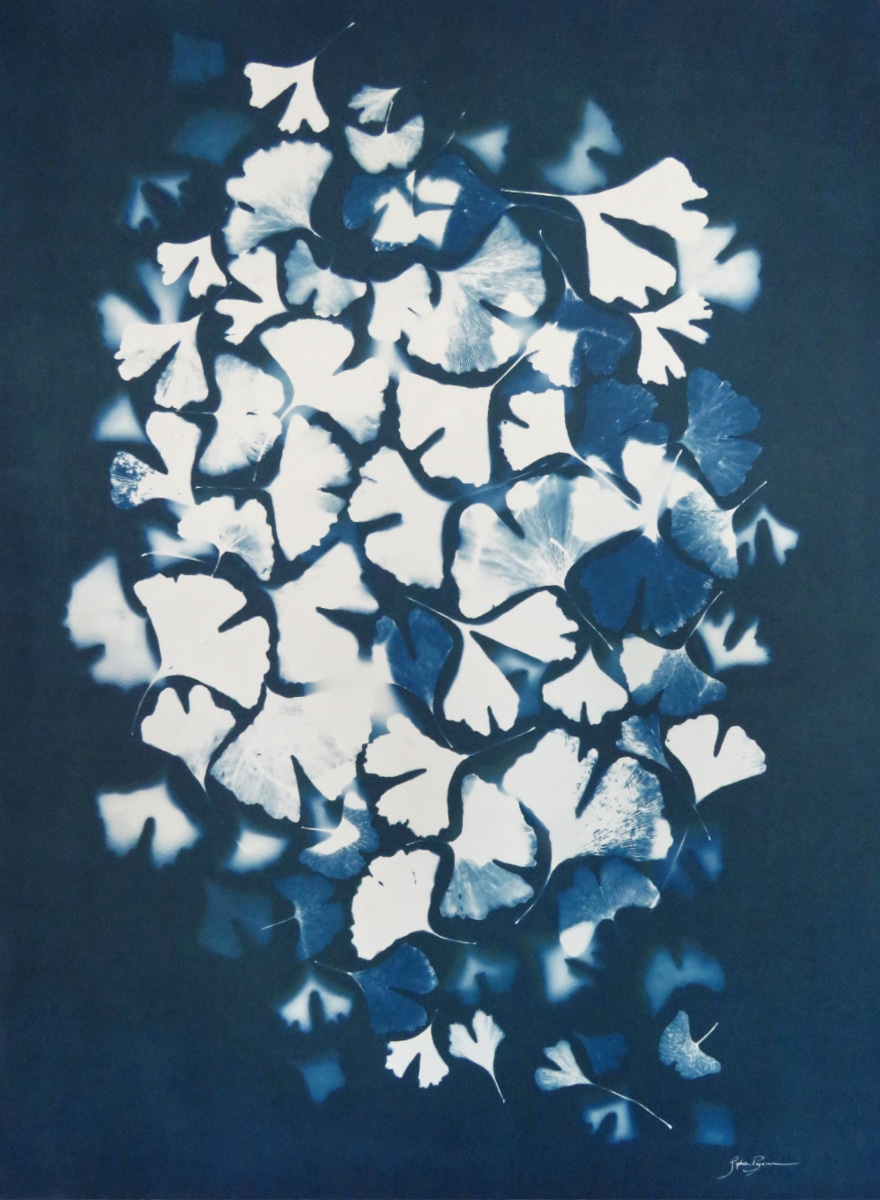 Ginkgo — Éternité