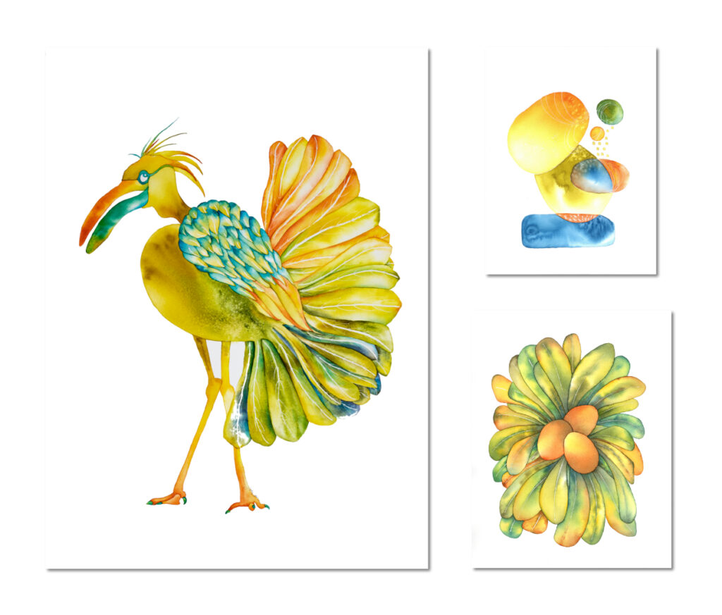 Drôles d'oiseaux Gros bec bicolore- Rostrum magnum bicolor