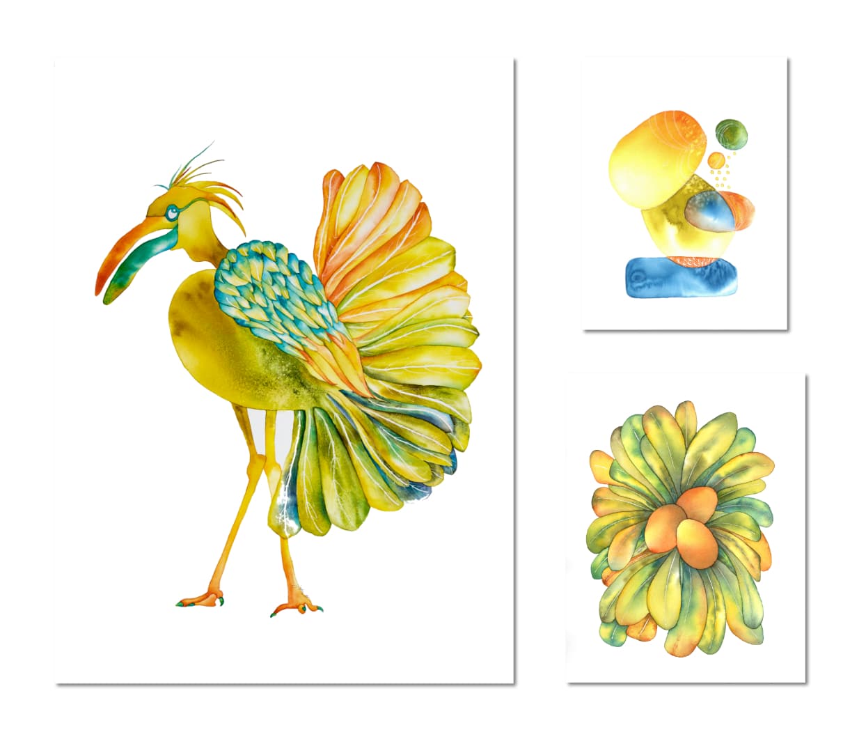 Drôles d'oiseaux Gros bec bicolore- Rostrum magnum bicolor