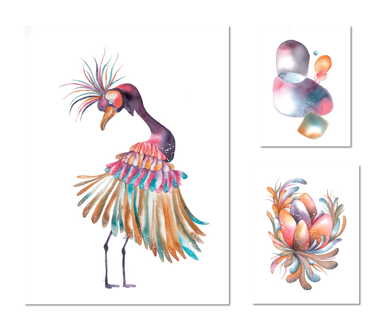 Drôles d'oiseaux Grue joyeuse - Grus laetus