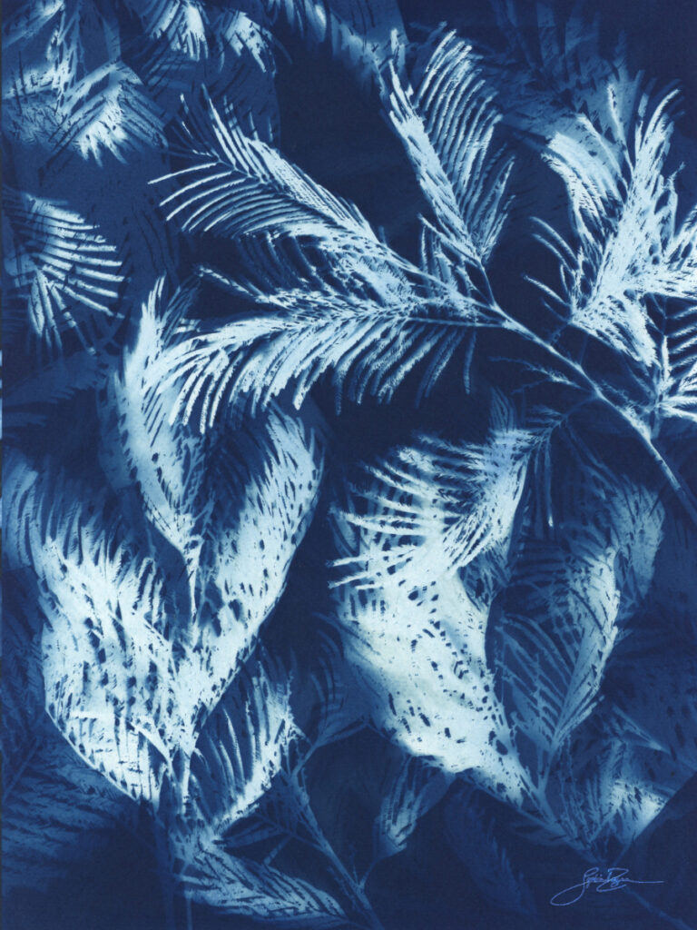 Mimosa — Tissage éphémère I