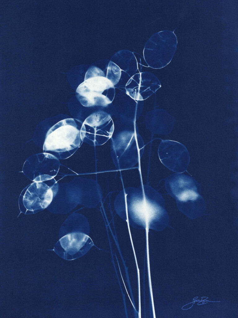 Monnaie du Pape — Bouquet I