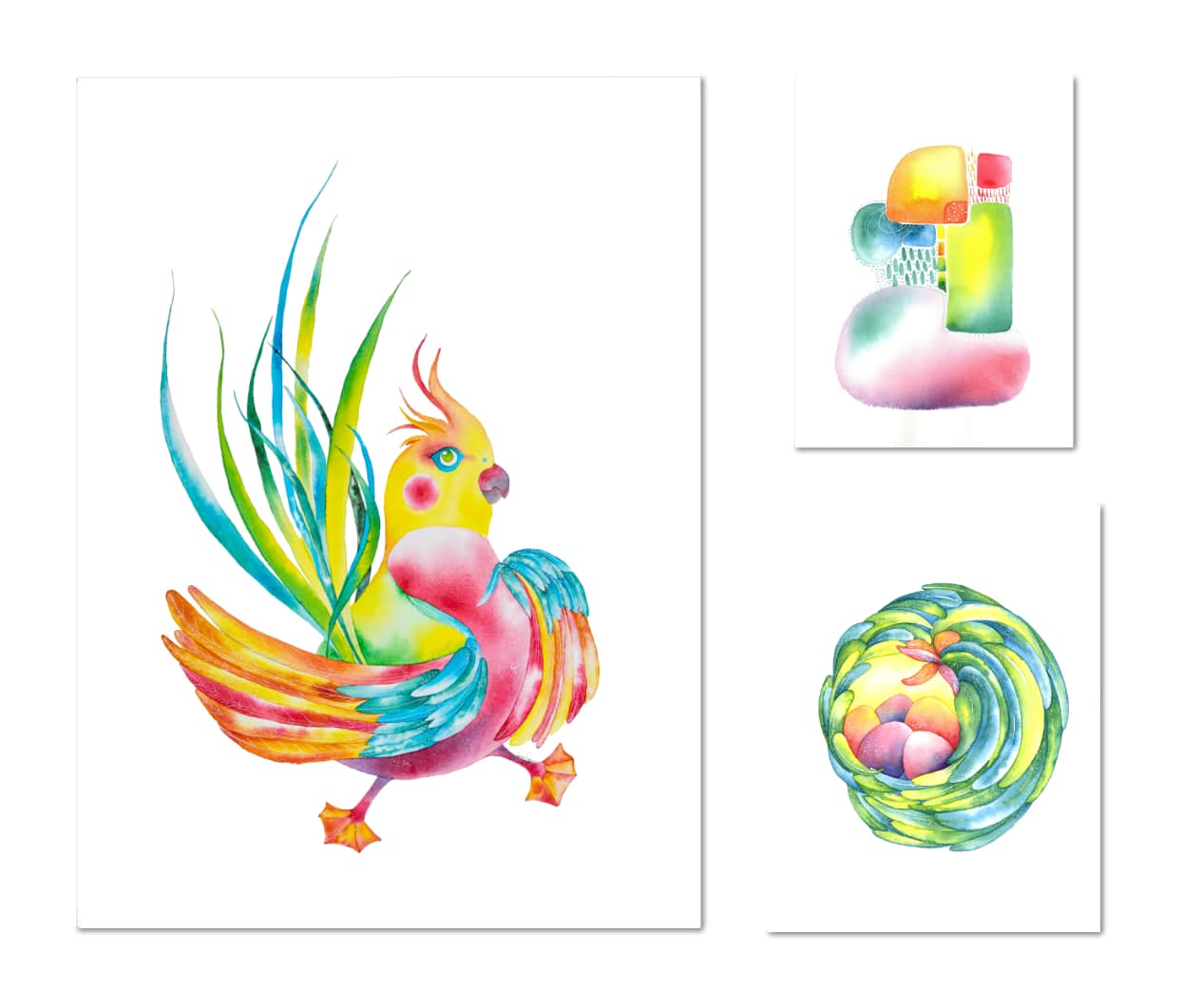 Drôles d'oiseaux Perroquet éclatant Psittacus clarus