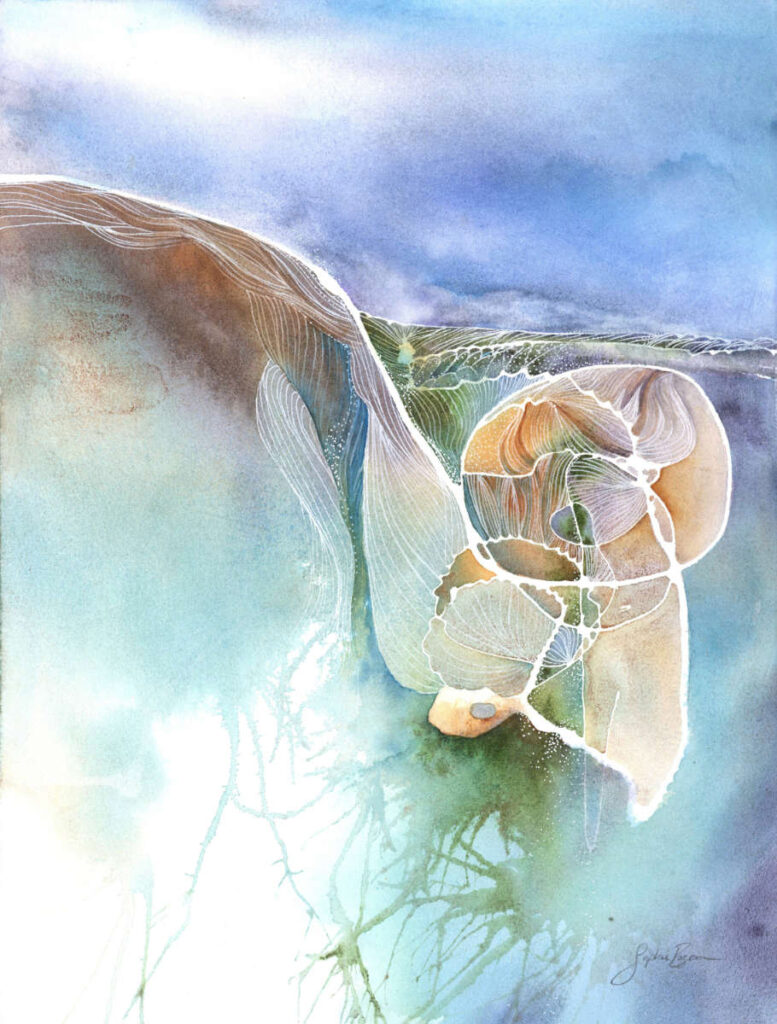 Retour aux sources : Racines 2