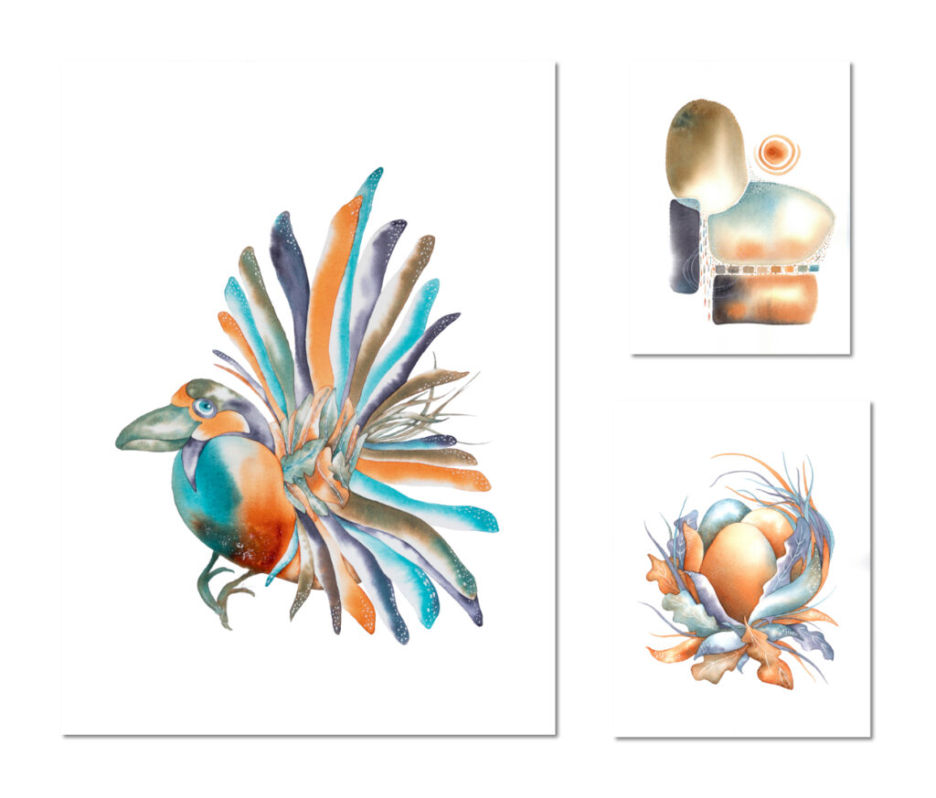 Drôles d'oiseaux Savacou fier Cochlearius superbus