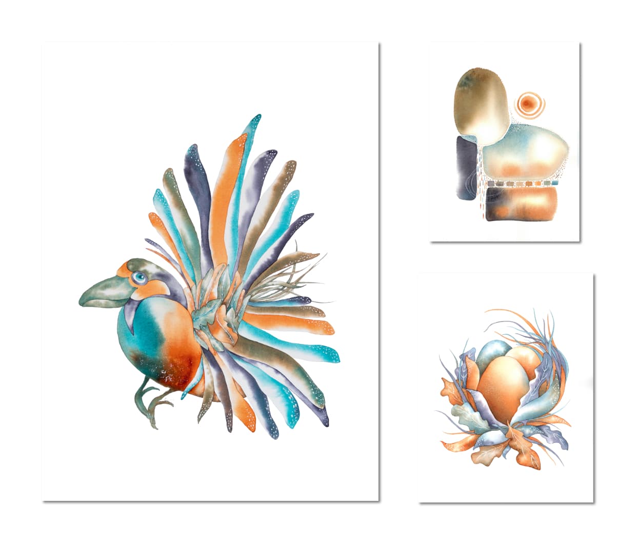 Drôles d'oiseaux Savacou fier Cochlearius superbus