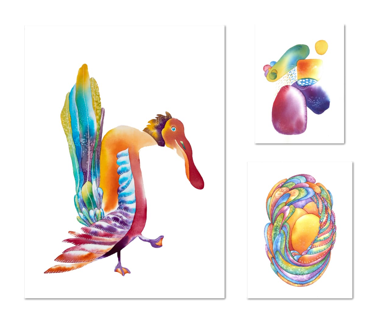 Drôles d'oiseaux Spatule colorée - Platalea colorata